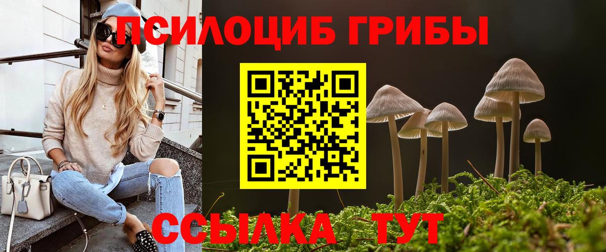 Псилоцибиновые грибы мухоморы Новокубанск