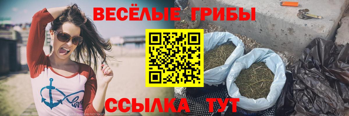 Новокубанск  Галлюциногенные грибы Magic Shrooms  Вход с VPN 