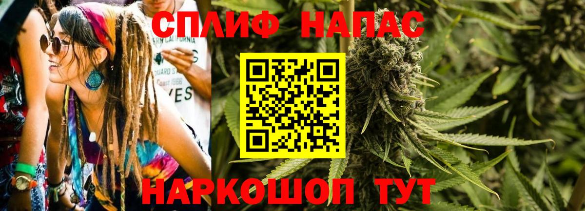 Конопля SATIVA & INDICA Новокубанск